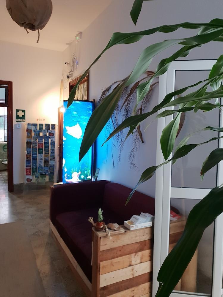 Cactus Host Hostel Las Palmas de Gran Canaria Exterior foto